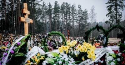 В Латвии смертность с Covid-19 в семь раз выше, чем в среднем по ЕС - rus.delfi.lv - Румыния - Эстония - Литва - Болгария - Латвия