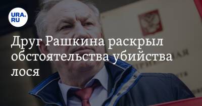 Валерий Рашкин - Друг Рашкина раскрыл обстоятельства убийства лося. «Мы крепко выпивали» - ura.news - Россия - Саратовская обл.