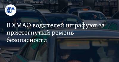 В ХМАО водителей штрафуют за пристегнутый ремень безопасности. Фото - ura.news - Югра - Нижневартовск