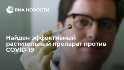 Найден эффективный растительный препарат против COVID-19 - ria.ru - Москва - Англия - Великобритания