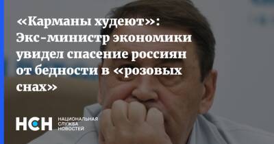 Андрей Нечаев - «Карманы худеют»: Экс-министр экономики увидел спасение россиян от бедности в «розовых снах» - nsn.fm