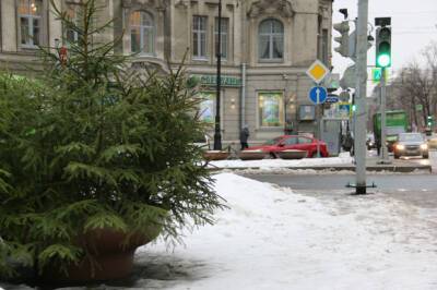 Александр Колесов - Синоптик сообщил, когда в Петербург придет зимняя погода - rosbalt.ru - Санкт-Петербург