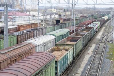 В Новомосковске рельсовый автобус насмерть сбил 42-летнюю женщину - tula.mk.ru - Россия - Тула - Новомосковск - Тульская обл.