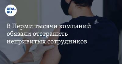 Виталий Костарев - В Перми тысячи компаний обязали отстранить непривитых сотрудников - ura.news - Пермь - Пермский край
