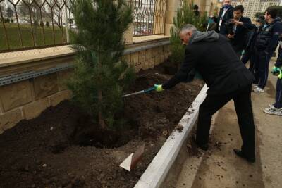 В рамках ЧМ по прыжкам на батуте и тамблингу в Баку прошла акция по посадке деревьев (ФОТО/ВИДЕО) - trend.az - Франция - Канада - Азербайджан