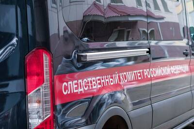 СК возбудил дело против полицейских из-за задержания школьницы в Петербурге - vm.ru - Санкт-Петербург - район Калининский - Следственный Комитет
