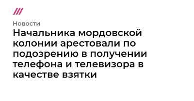 Пол Уилан - Начальника мордовской колонии арестовали по подозрению в получении телефона и телевизора в качестве взятки - tvrain.ru - Россия - США - республика Мордовия