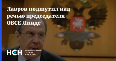 Сергей Лавров - Линда Анн - Лавров подшутил над речью председателя ОБСЕ Линде - nsn.fm - Россия - Украина - Швеция