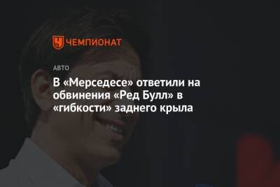 Кристиан Хорнер - Вольф Тото - В «Мерседесе» ответили на обвинения «Ред Булл» в «гибкости» заднего крыла - championat.com