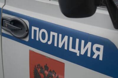 В Москве задержали мигрантов за флешмоб на 30 машинах - mk.ru - Москва