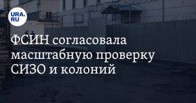 Андрей Бабушкин - Ева Меркачева - Игорь Каляпин - ФСИН согласовала масштабную проверку СИЗО и колоний - ura.news - Россия - Саратовская обл. - Кировская обл. - респ. Марий Эл - республика Мордовия