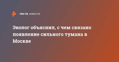 Эколог объяснил, с чем связано появление сильного тумана в Москве - ren.tv - Москва - Россия - Экология