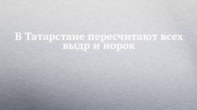 В Татарстане пересчитают всех выдр и норок - chelny-izvest.ru - респ. Татарстан - Мензелинск