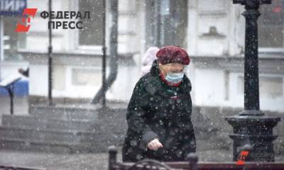 В ПФР предупредили о ловких махинациях мошенников - fedpress.ru - Москва - Россия