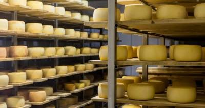Курс на развитие крупнотоварного производства прошел проверку временем - produkt.by - Белоруссия
