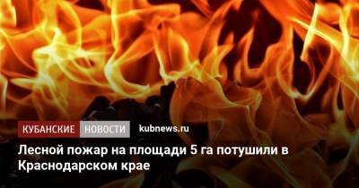 Лесной пожар на площади 5 га потушили в Краснодарском крае - kubnews.ru - Краснодарский край - населенный пункт Угрозы