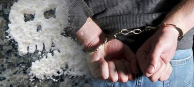 В Карелии арестовали 18-летнего лидера ОПГ, торговавшей наркотиками через интернет - stolicaonego.ru - республика Карелия