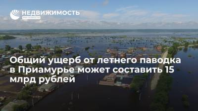 Владимир Путин - Василий Орлов - Общий ущерб от летнего паводка в Приамурье может составить 15 млрд рублей - realty.ria.ru - Москва - Россия - Амурская обл.