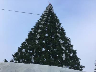 Мэрия Новосибирска заказала подиум под новогоднюю ель почти за 150 тысяч рублей - sib.fm - Новосибирск
