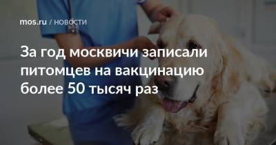 За год москвичи записали питомцев на вакцинацию более 50 тысяч раз - mos.ru - Москва