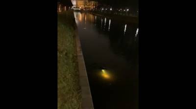 Питер Онлайн - «Водяной» с аквалангом и фонарем всполошил петербуржцев ночью - neva.today - Петербурга