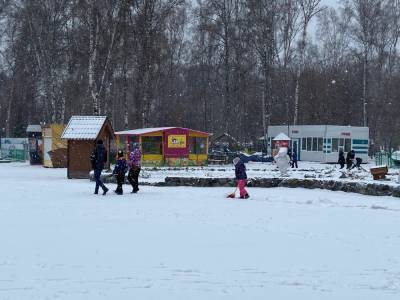 В Новосибирске похолодает до -23 в День народного единства - sib.fm - Новосибирск - Новосибирская обл.