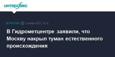 Роман Вильфанд - В Гидрометцентре заявили, что Москву накрыл туман естественного происхождения - interfax.ru - Москва - Московская обл. - Московская область