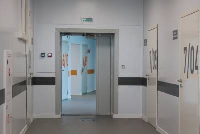 Показатель суточной смертности от COVID-19 В Башкирии по-прежнему на высоком уровне - ufacitynews.ru - Башкирия
