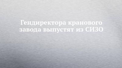 Гендиректора кранового завода выпустят из СИЗО - chelny-izvest.ru - Россия - Набережные Челны - Калининград