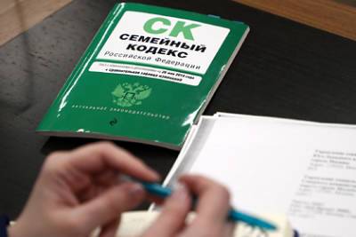 У россиянки забрали дочь в детский дом из-за неосторожного фото - lenta.ru - Московская обл.
