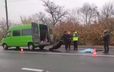 Тело девушки нашли прямо на дороге: видео с места происшествия - politeka.net - Украина - Мелитополь