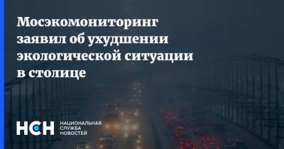Мосэкомониторинг заявил об ухудшении экологической ситуации в столице - nsn.fm - Москва - Россия - Московская обл. - Экология