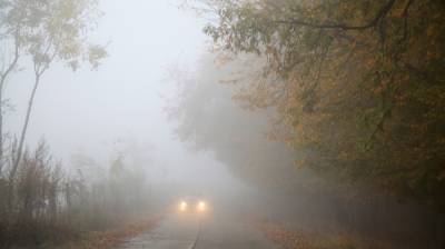 Под Воронежем двоих братьев взяли в заложники - vestivrn.ru - Воронеж