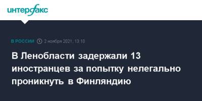 В Ленобласти задержали 13 иностранцев за попытку нелегально проникнуть в Финляндию - interfax.ru - Москва - Россия - Ленинградская обл. - Финляндия - р-н Выборгский