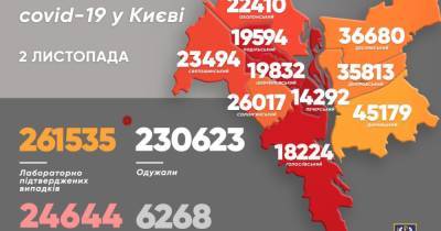 Виталий Кличко - COVID-19 в Киеве: за сутки обнаружили 1738 больных, 60 человек умерли - dsnews.ua - Украина - Киев - Святошинск