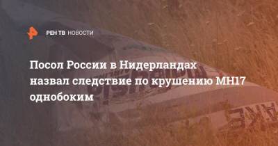 Александр Шульгин - Посол России в Нидерландах назвал следствие по крушению MH17 однобоким - ren.tv - Россия - Голландия