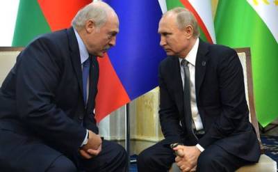 Владимир Путин - Александр Лукашенко - Лукашенко сообщил о планах провести в ближайшее время переговоры с Путиным в онлайн-формате - argumenti.ru - Россия - Белоруссия - Переговоры