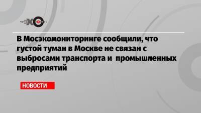 В Мосэкомониторинге сообщили, что густой туман в Москве не связан с выбросами транспорта и промышленных предприятий - echo.msk.ru - Москва