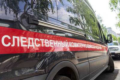 Заявившую об изнасиловании модель уличили во лжи из-за мороженого - lenta.ru - Екатеринбург