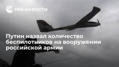 Владимир Путин - Путин: на вооружении российской армии более двух тысяч беспилотных летательных аппаратов - ria.ru - Москва - Россия - Сочи