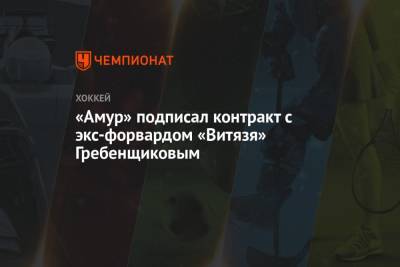 Святослав Гребенщиков - «Амур» подписал контракт с экс-форвардом «Витязя» Гребенщиковым - championat.com - Санкт-Петербург - Сочи - Московская обл.