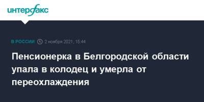 Пенсионерка в Белгородской области упала в колодец и умерла от переохлаждения - interfax.ru - Москва - Россия - Белгородская обл.