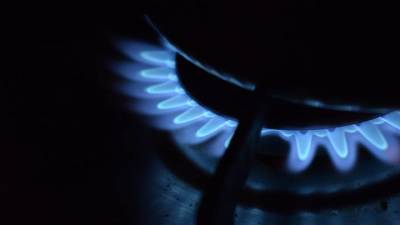Сергей Макогон - Газпром отказался бронировать допмощности газа через Украину в 2022 году - vm.ru - Россия - Украина - Киев - Польша