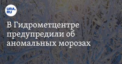 Роман Вильфанд - В Гидрометцентре предупредили об аномальных морозах - ura.news - Россия - Красноярский край - Иркутская обл. - Кемеровская обл. - Алтайский край - респ. Алтай - Новосибирская обл. - респ. Хакасия