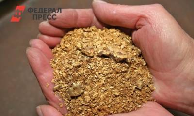 Власти Хакасии могут наложить вето на золотодобычу в регионе - fedpress.ru - Абакан - респ. Хакасия