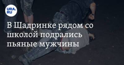 В Шадринке рядом со школой подрались пьяные мужчины. Видео - ura.news - Шадринск