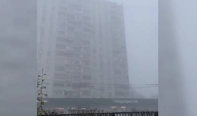 Эколог посоветовал не гулять с детьми по Москве в условиях "ядовитого" тумана - newizv.ru - Москва - Экология