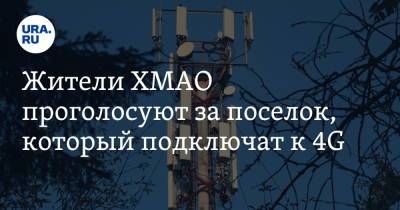 Жители ХМАО проголосуют за поселок, который подключат к 4G - ura.news - Югра