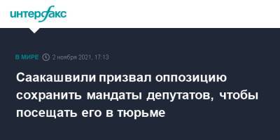 Михаил Саакашвили - Саакашвили призвал оппозицию сохранить мандаты депутатов, чтобы посещать его в тюрьме - interfax.ru - Москва - Грузия