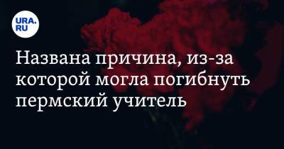 Названа причина, из-за которой могла погибнуть пермский учитель - ura.news - Пермский край